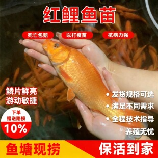 �t���~�絭�Bֳʳ���d���t���~���~�׺��B�ͻ�t���~����ˮ�^�p�~