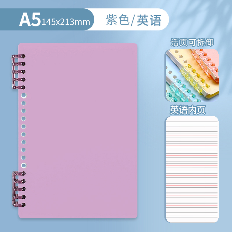 A5 • Zi • English • 1 book