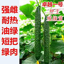 �S�ϷN�Ӽ޽��S���珊���͟�ˮ�S�ϷN����������Gȿ�̰�׿Խһ̖