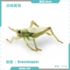 T15709 Grasshopper 16g