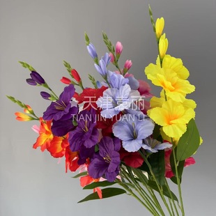 ��֧���m���滨 �Ҿ��b廨 ��c����픵��Ż��Ƶ�������ý���