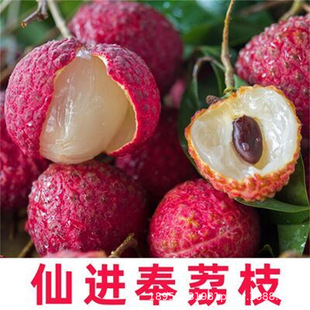 2-4����֦����������Ц�o����֦��������ζŴ�����u����֦������