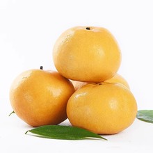 �ӱ��Sˮ�����r9������ˮ����������10�SƤ�������ִ�ѩ����]