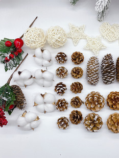 �ɹ����ֹ����ϰ������ﶬ�b��ϲ����޻����h���⻨����ͯ����