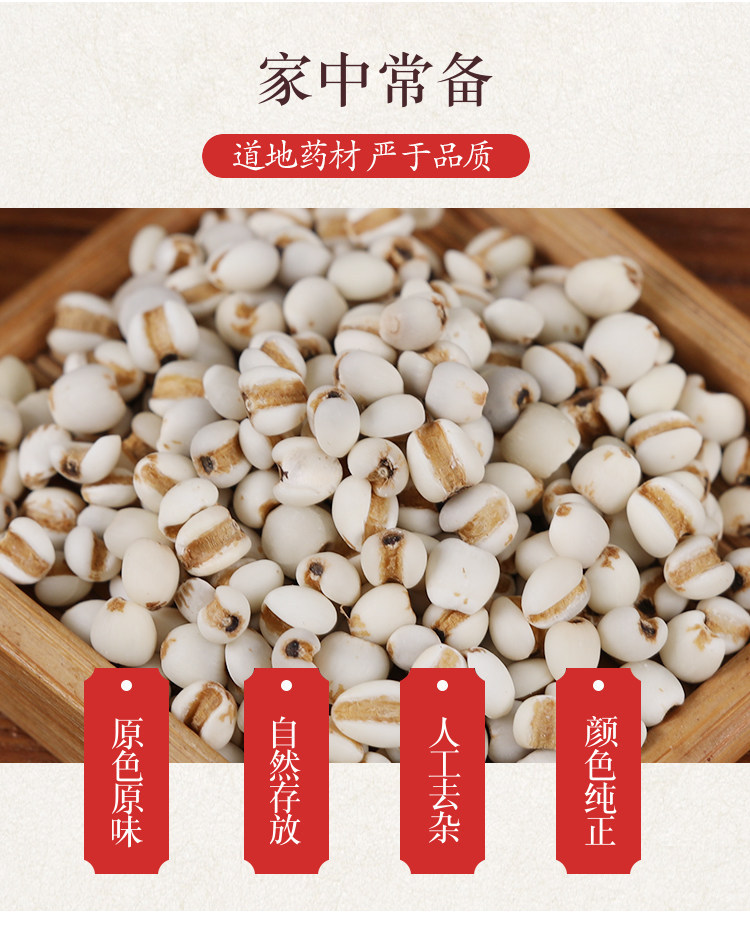 Premium Coix Seed Yi Yi Ren 500g Dried Job's Tears for Food and Herbal Use overview