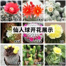 �������������ԾGֲ�_��������M���k���������f��ɽϲ��҃�ֲ��