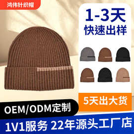 男秋冬休闲百搭毛线帽户外运动防寒保暖欧美毛线针织帽千金礼帽