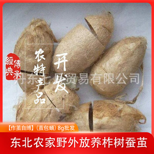 �������O�Կ`���|���r�ҷ��B�����Q�O���O��Ӽ��8g���l�طN���w