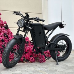 ソースメーカーがレトロなファットタイヤ自転車、リチウム電池アシストマウンテンバイク、ダブルショックアブソーバー、スノートランスミッションを越境輸出