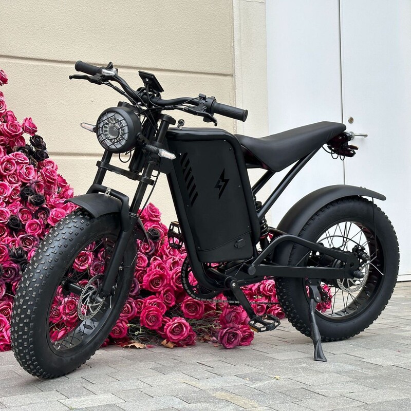 Source Manufacturer Cross-Border Export of Retro Fat-Tire Bicycles with Lithium Battery Power Assist and Dual Shock Absorption for Snow Riding