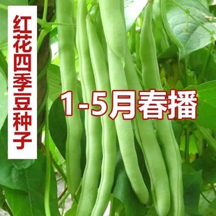 �S�a�����м��ļ����N�������ļ���ܿ�����ǷN�Ӽt���o���ļ����N