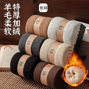 �T���غ���ë�m�����LͲ�m��ů�m�����Ӻ�ӽq�п��^����Ͳë�m