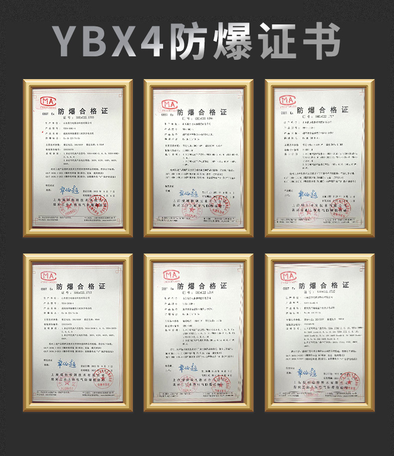 雷力电驱动YBX4防爆证书.jpg