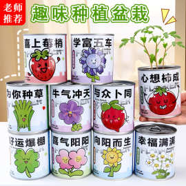 网红易拉罐植物盲盒儿童种植番茄薄荷桌面绿植生长记录罐头盆栽