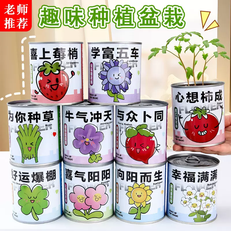 网红易拉罐植物盲盒儿童种植番茄薄荷桌面绿植生长记录罐头盆栽