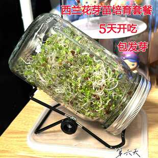 ÷ɭƿ÷ɭ�����m���N��ˮ�����b��ޣѿ��˰lѿ���໨Ҭ����
