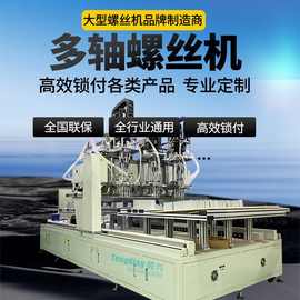 腾兴流水线多轴式全自动锁螺丝机吹气式自动打拧螺丝设备机器厂家