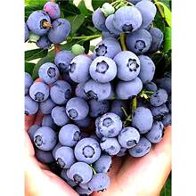 {ݮ{ݮԵԹ玧ϱNֲ۾Gʯ