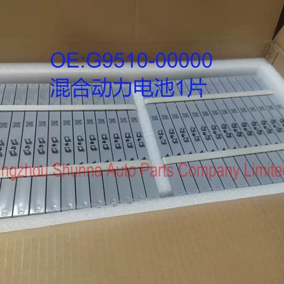 G9510-00000 is suitable for Car battery/battery