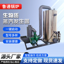 生物颗粒蒸汽发生器 地暖供暖采暖 生物质多功能热水锅炉