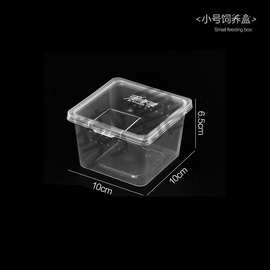 跨境人渣盒爬虫箱螳螂跳蛛养蚕饲养盒爬行动物睫角寄居蟹饲养箱