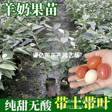 ���̹���޽ӵ����̖������j�Ә�������̺�Ϲ�ӹ��ϱ��Nֲ����