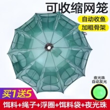 自动折叠伞笼虾笼捕鱼笼螃蟹黄鳝龙虾网渔网甲鱼泥鳅捕鱼网渔具
