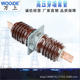 Outdoor Ceramic Wall-Through Casing Cwc-24/1000A 1600A 2000A Cww-Cwb--40.5
