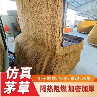 é��ë�����ϸ����ͤ�r�Ҙ����������b�����픱�ů�Ӻ�