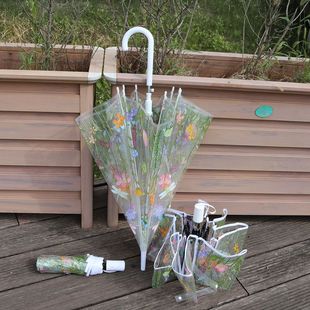 ͸��������l͸�����21��ֱ�U�Ԅӂ�ɭϵ�����ۯB���Ԅ����ۂ�