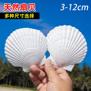 ��Ȼ��ؐ��Ƭ�׃��@�ֹ�diy�L���T�f��ɫС��ؐ������ؐ������