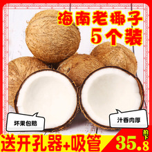 海南老椰子新鲜个装去皮毛椰牛奶椰皇椰宝孕妇当季水果椰青榨汁