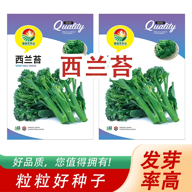 Оптовая продажа семян мха в Зеландии