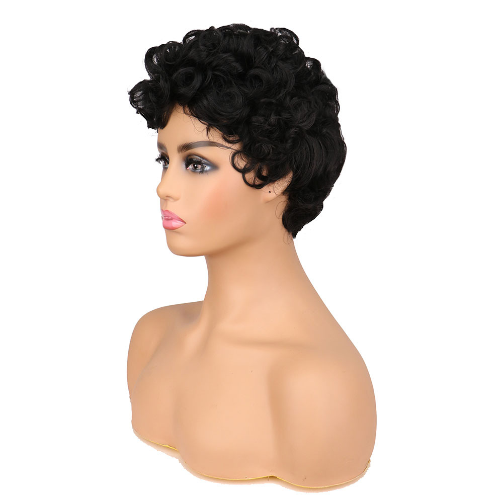 Fashion Short Curly Hair Female Fluffy Short Curly Hair Wig display picture 6