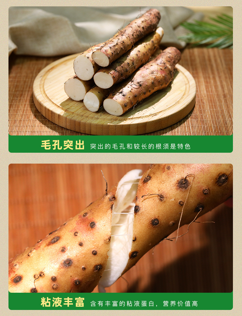 Fresh Wenxian Iron Stick Yam Chinese Yam Huai Shan 500g Henan Jiaozuo Origin quality and texture