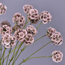 SֱNL܇Fsbٻߙnx{軨N