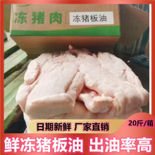猪板油冷冻新鲜生猪油 食用生猪油 猪油渣猪吊油20斤一箱出油率高