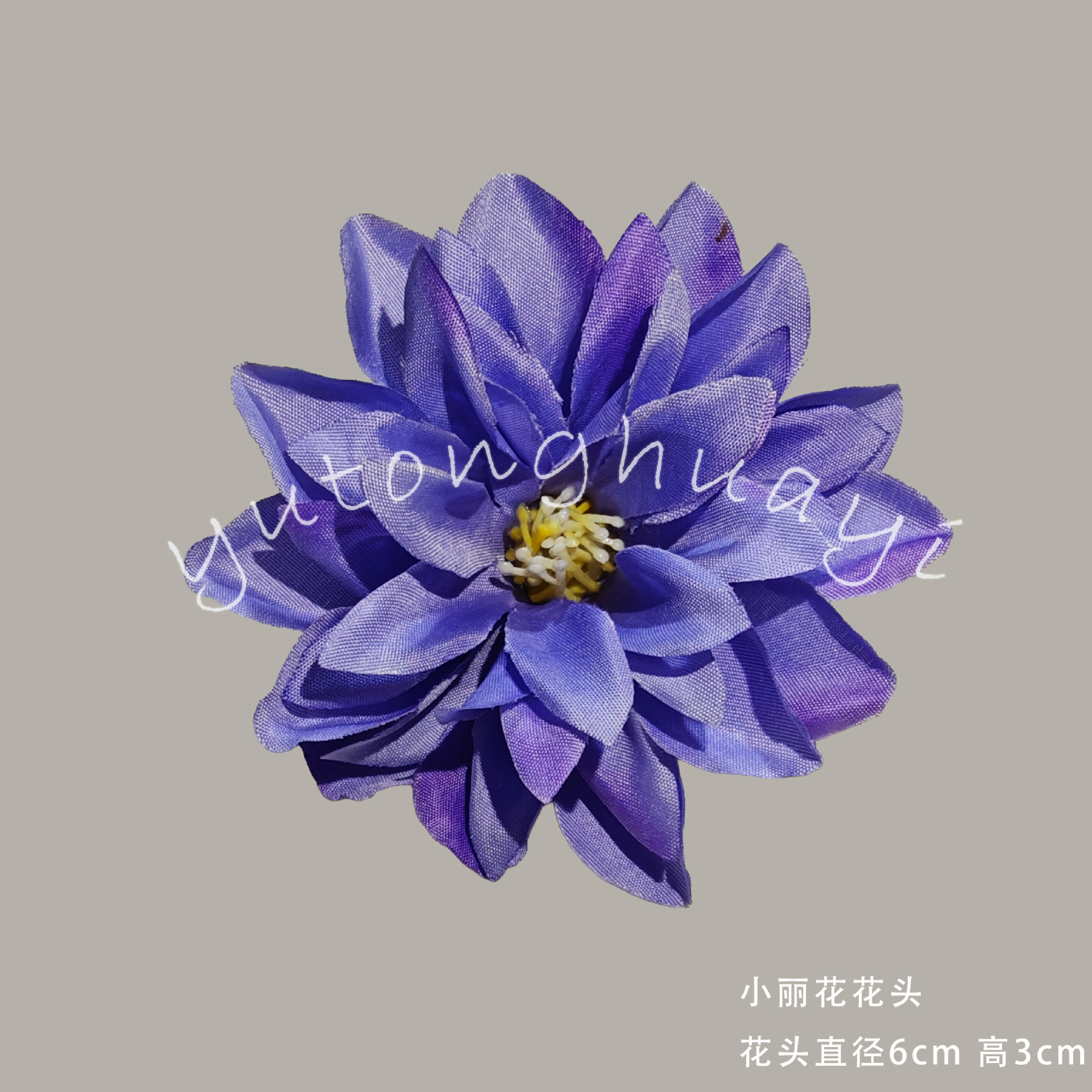 Lilium Flowers-Blue