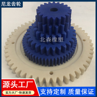 Enhanced Pa6 Nylon Gear Custom Processing Mc901 Oil-Containing Nylon Gear Wear-Resistant Blue Injection Molded Nylon Gear