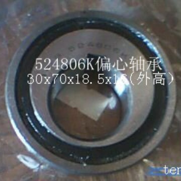 供应524806K偏心轴承  30x70x18.5品质 国  产