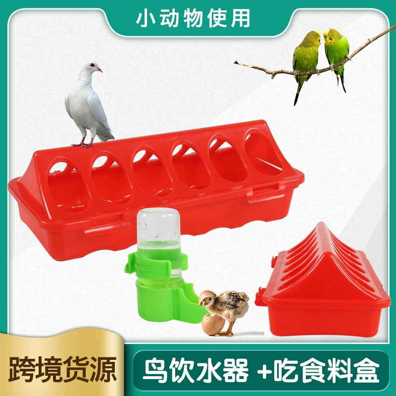 Рудинг куриный кормушка автоматический кормушка для курицы