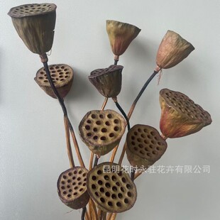 ɏ��ɻ���ɏ���ɻ��ɻ�������ƿ�廨���������~�ɻ�ɏ��diy���