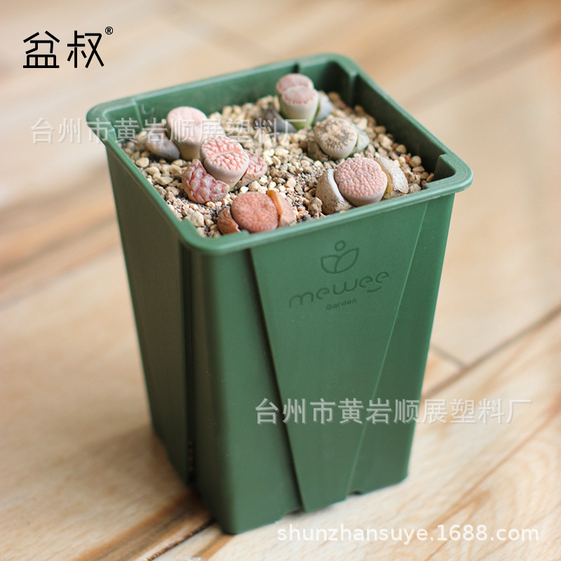 Miwei No. 3 New Thickeneded Small Square Pot Plastic Succulent Flower Pot Creative Simple Green Plant Indoor Desktop Flower Pot
