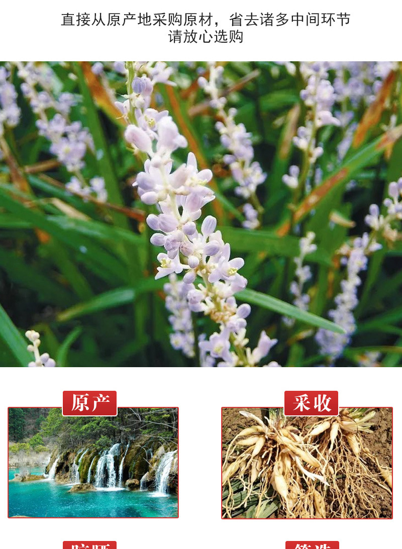 包邮批发新货四川麦冬 大粒麦门冬手选川麦冬 散装500g中药材花茶-阿里巴巴