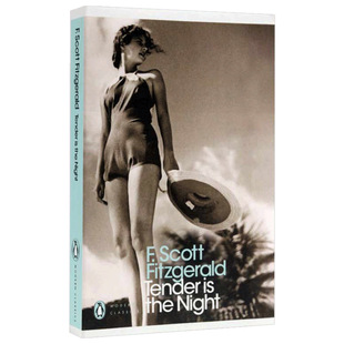 Tender is the Night A Romance Night gentle English original novel book Penguin Classic