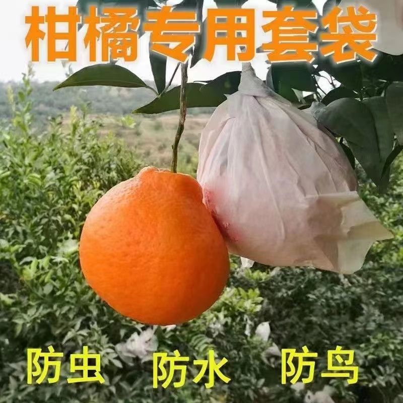 代かき専用袋愛媛紅美人柑橘春見袋臍橙ザクロ果物紙袋防水防虫|undefined