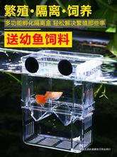 鱼缸隔离盒孔雀鱼繁殖盒斑马小鱼孵化器凤尾幼鱼悬浮亚克力产卵房