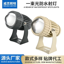投光灯;投射灯;埋地灯