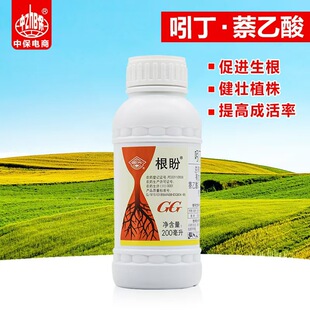������� 5%�Ŷ������� ����������Һ���L�{�����ٰl횸�������