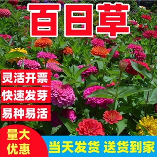 ���ղݻ��N���Ӷ���ذ���ղݻ��N�Ӷ༾�׷N���վջ���ͥԺ����